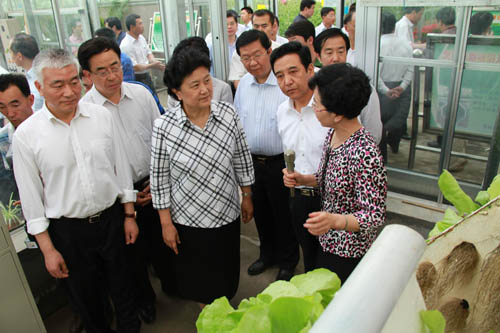                         刘延东国务委员考察HJC黄金城集团设施园艺科研基地